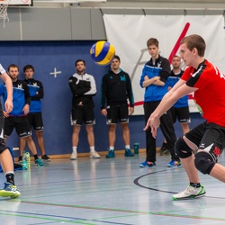 Volleyball
