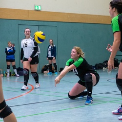 Volleyball